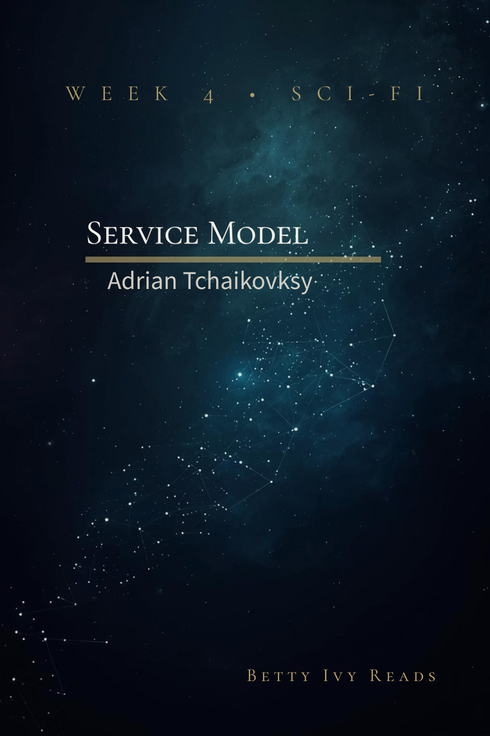 Service Model puzzle poster