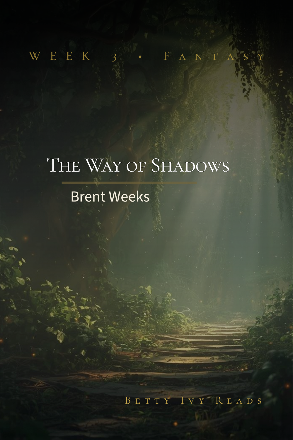 The Way of Shadows puzzle poster